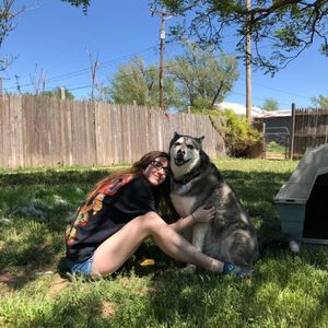 Meet your Posher, Bailey